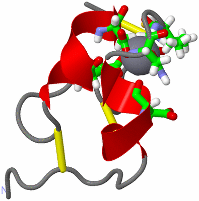 Image NMR Structure - model 1, sites