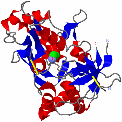 Image Asym./Biol. Unit