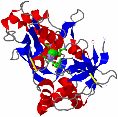 Image Asym./Biol. Unit - sites