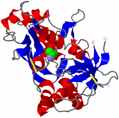 Image Asym./Biol. Unit