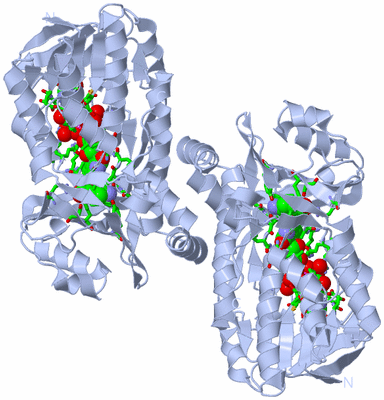 Image Biol. Unit 1 - sites