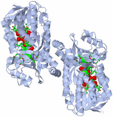 Image Biol. Unit 1 - sites