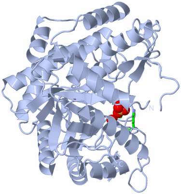 Image Biol. Unit 1 - sites