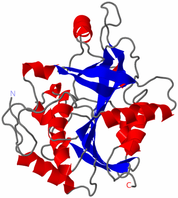 Image Asymmetric Unit