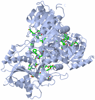 Image Biol. Unit 1 - sites