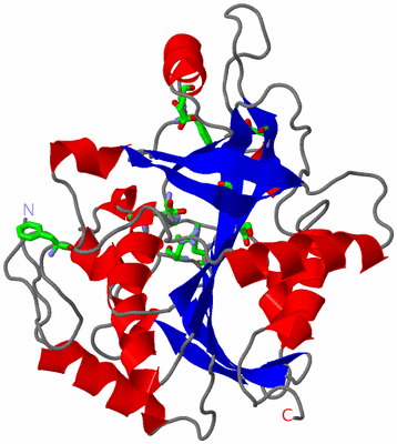 Image Asym. Unit - sites