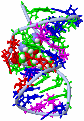 Image NMR Structure - model 1