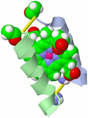 Image NMR Structure - model 1