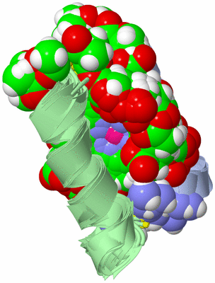 Image NMR Structure - all models