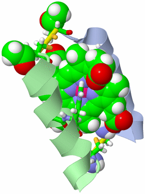 Image NMR Structure - model 1, sites