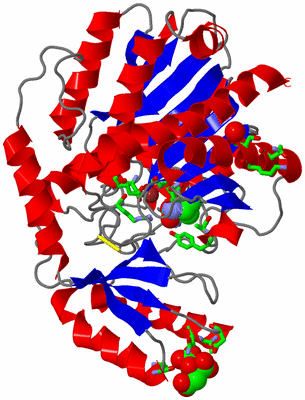 Image Asym./Biol. Unit - sites