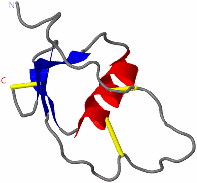 Image NMR Structure - model 1