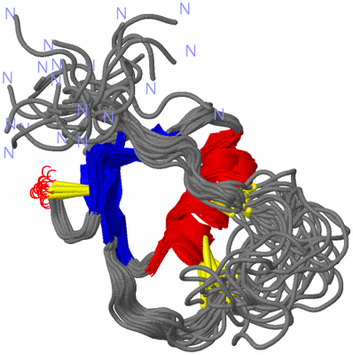 Image NMR Structure - all models
