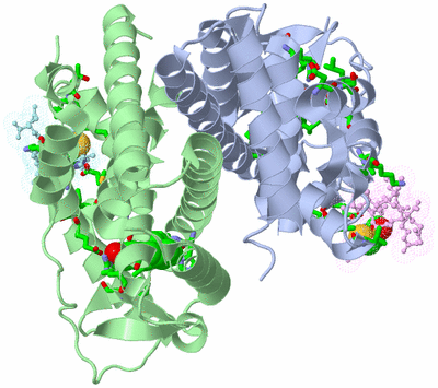 Image Asym./Biol. Unit - sites