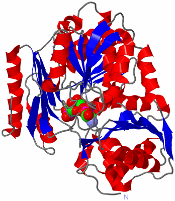 Image Asym./Biol. Unit