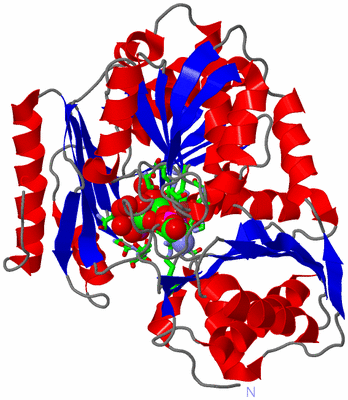 Image Asym./Biol. Unit - sites