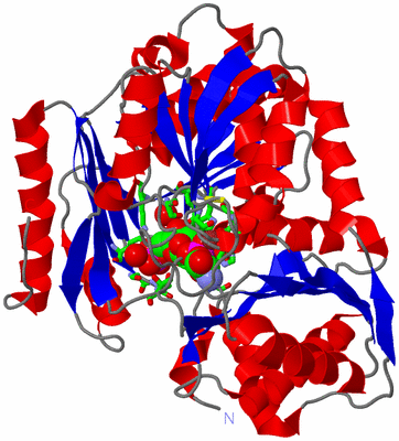 Image Asym./Biol. Unit - sites