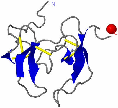 Image NMR Structure - model 1