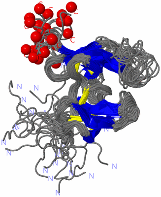 Image NMR Structure - all models