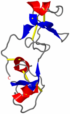 Image NMR Structure - model 1