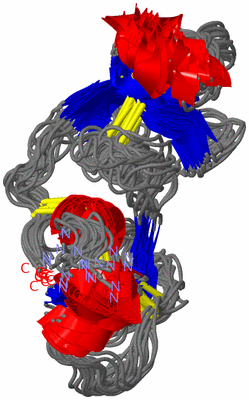 Image NMR Structure - all models