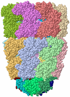 Image Asym./Biol. Unit