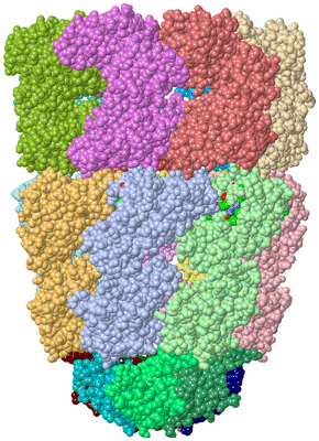 Image Asym./Biol. Unit - sites