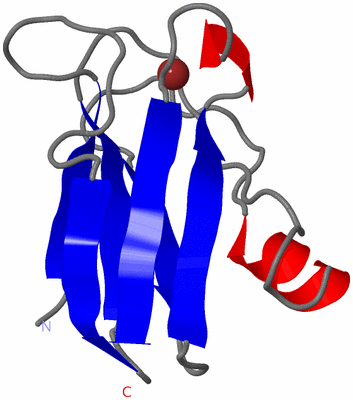 Image Asymmetric Unit