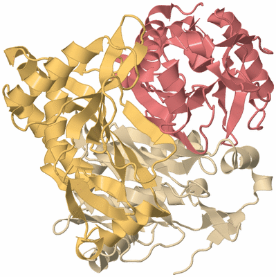 Image Biological Unit 3