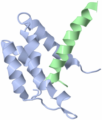 Image NMR Structure - model 1