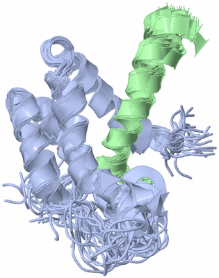 Image NMR Structure - all models