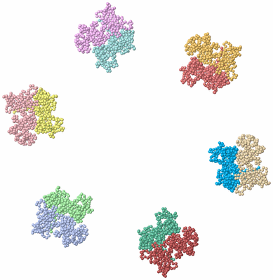 Image Asym./Biol. Unit