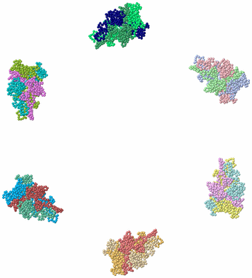 Image Asym./Biol. Unit