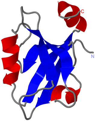 Image Asymmetric Unit