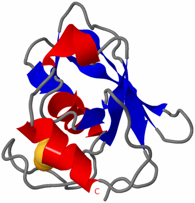 Image NMR Structure - model 1