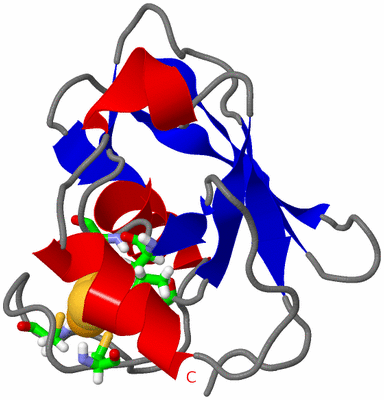 Image NMR Structure - model 1, sites