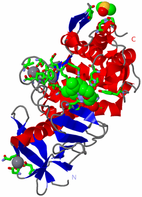 Image Asym./Biol. Unit - sites