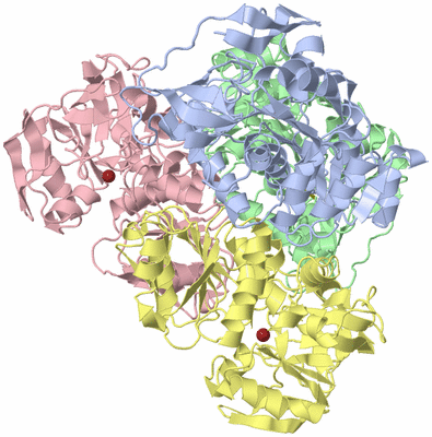 Image Asym./Biol. Unit