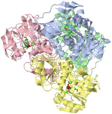 Image Asym./Biol. Unit - sites