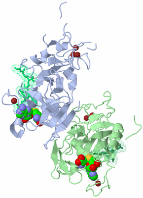 Image Asymmetric Unit