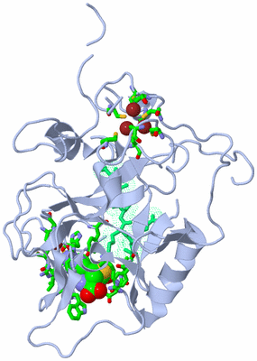 Image Biol. Unit 1 - sites