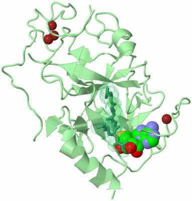 Image Biological Unit 2