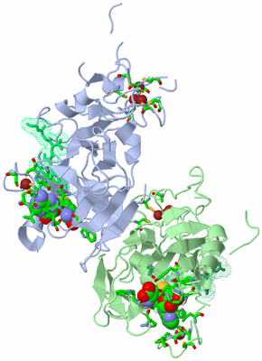 Image Asym. Unit - sites