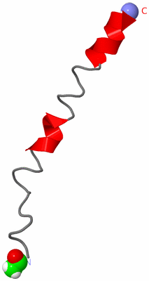 Image NMR Structure - model 1