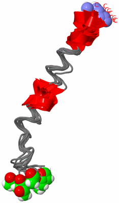 Image NMR Structure - all models