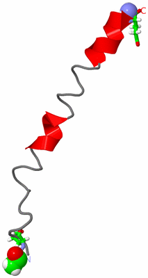 Image NMR Structure - model 1, sites