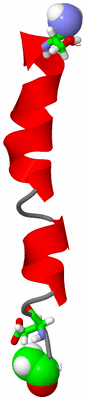 Image NMR Structure - model 1, sites