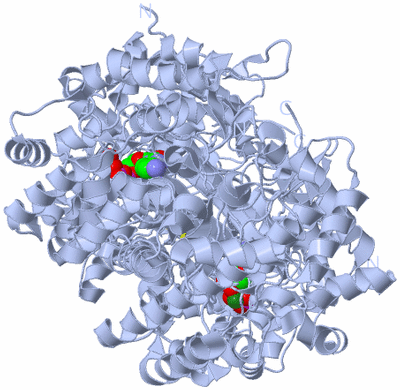 Image Biological Unit 1