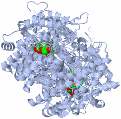 Image Biol. Unit 1 - sites