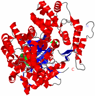 Image Asym. Unit - sites